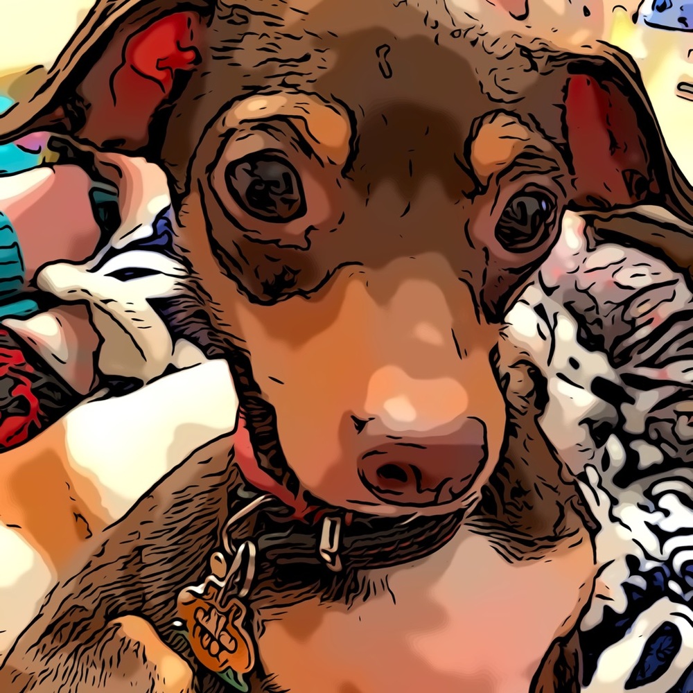 Meet your Posher, Kate